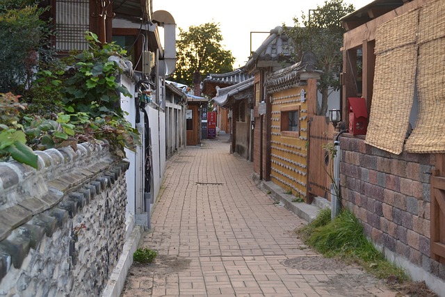 독립협회와 서양 과학기술 수용 과정